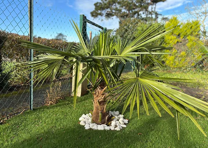 Les Douves Duplex 5 Personnes Lumineux Avec Jardin Et Terrasse Amenagee , Vue Sur Chateau A 5mn De La Mer, Proche Omaha Et Bayeux Lägenhet